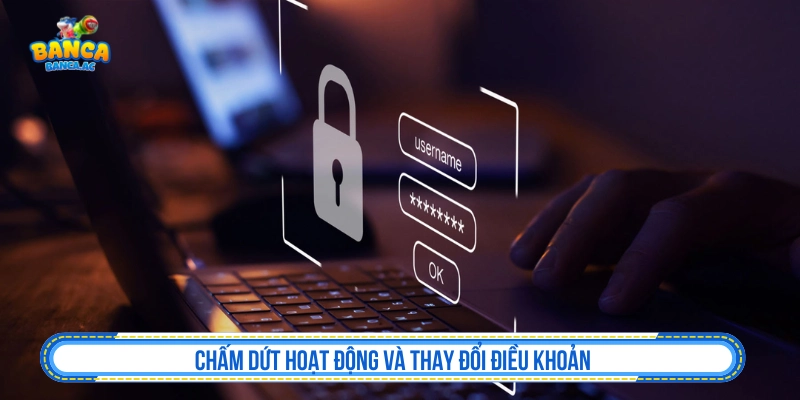 Chấm dứt hoạt động và thay đổi điều khoản